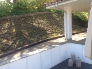 Plantearbejde